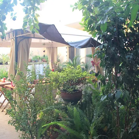 Fiori E Limoni 3* 콰르투치우