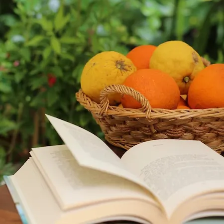 Bed & Breakfast Fiori E Limoni Quartucciu