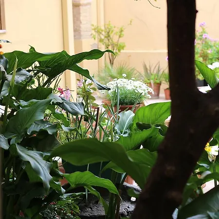 Bed & Breakfast Fiori E Limoni