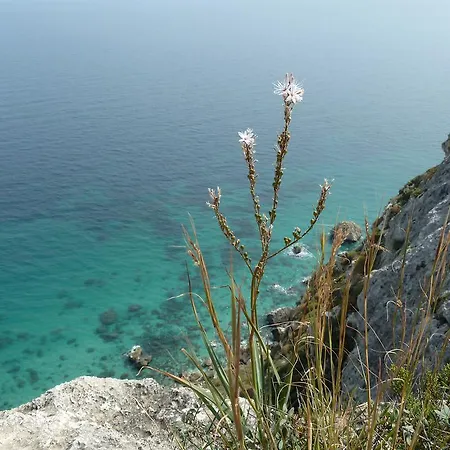 Alojamento de Acomodação e Pequeno-almoço Fiori E Limoni Quartucciu