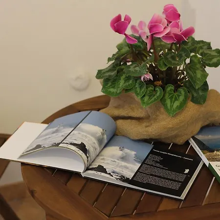 Fiori E Limoni Quartucciu