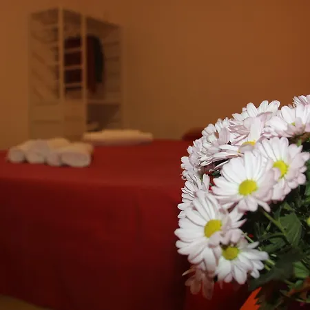 Fiori E Limoni Quartucciu