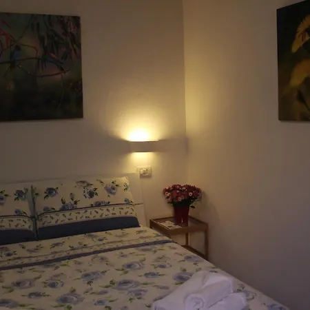 Fiori E Limoni Quartucciu