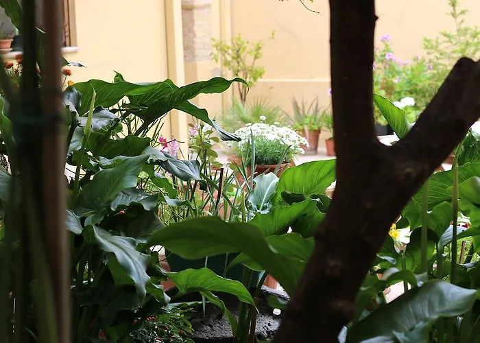 Bed and breakfast Fiori E Limoni