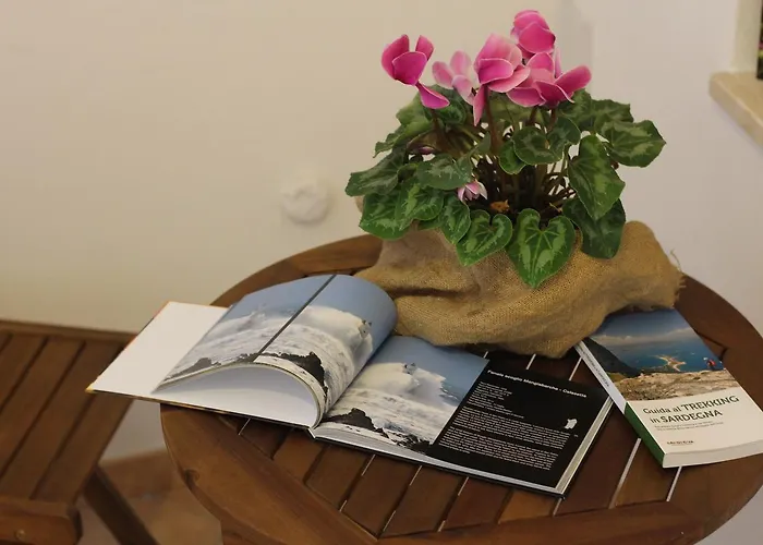 Fiori E Limoni Quartucciu