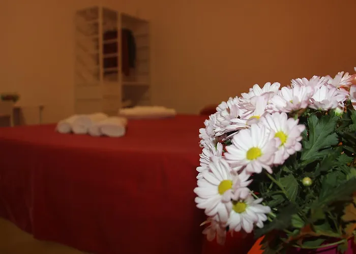 Fiori E Limoni Quartucciu