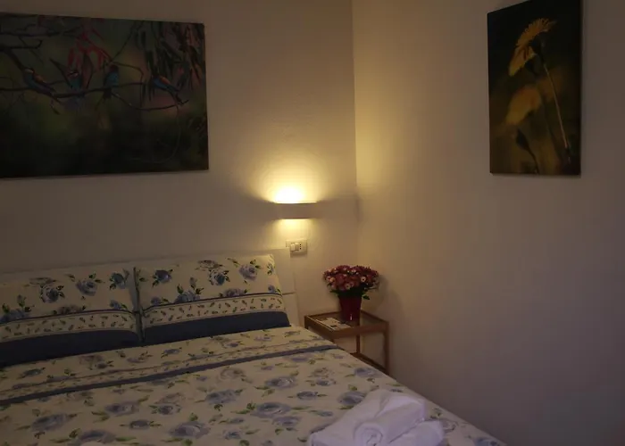 Fiori E Limoni Quartucciu